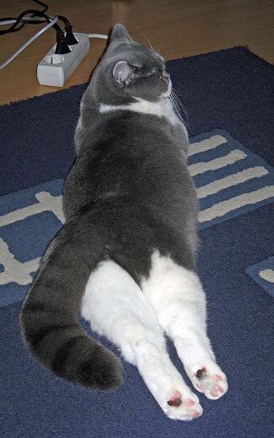 爱游戏电竞官网-_新兴电子竞技运动：虚拟战场的竞技巅峰_，新兴职业 电竞