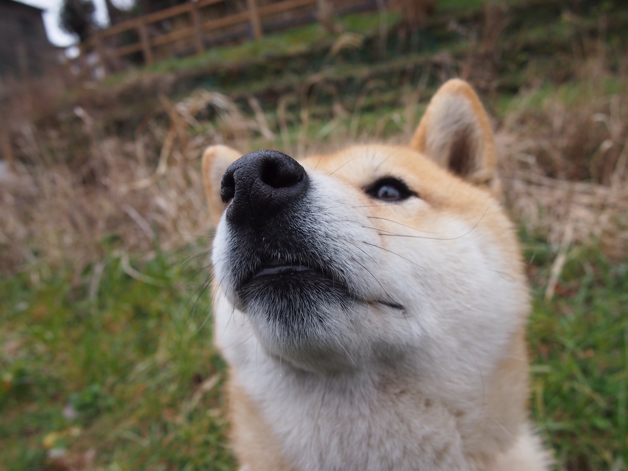 _新型运动赛事：虚拟现实竞技引领潮流_，现代新型运动