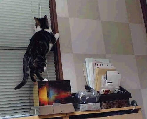 爱游戏-“黑哨”事件：裁判失误引发全民热议，黑哨是啥意思