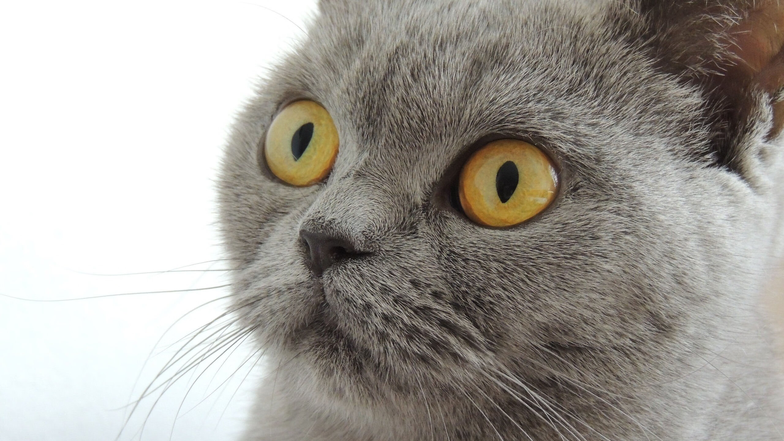 爱游戏体育平台-“黑马”战术崛起：创新策略助球队翻身，战术突入