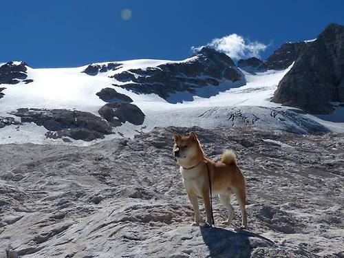 李钦诚在“湾区杯”围棋大棋士赛中表现抢眼,棋手李钦诚