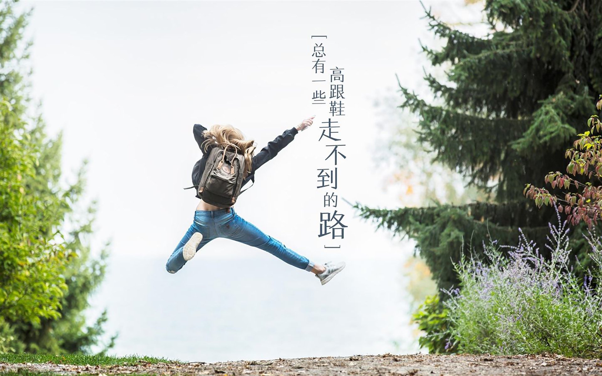 灰熊队战术调整迎来转机,连续获胜,灰熊队介绍