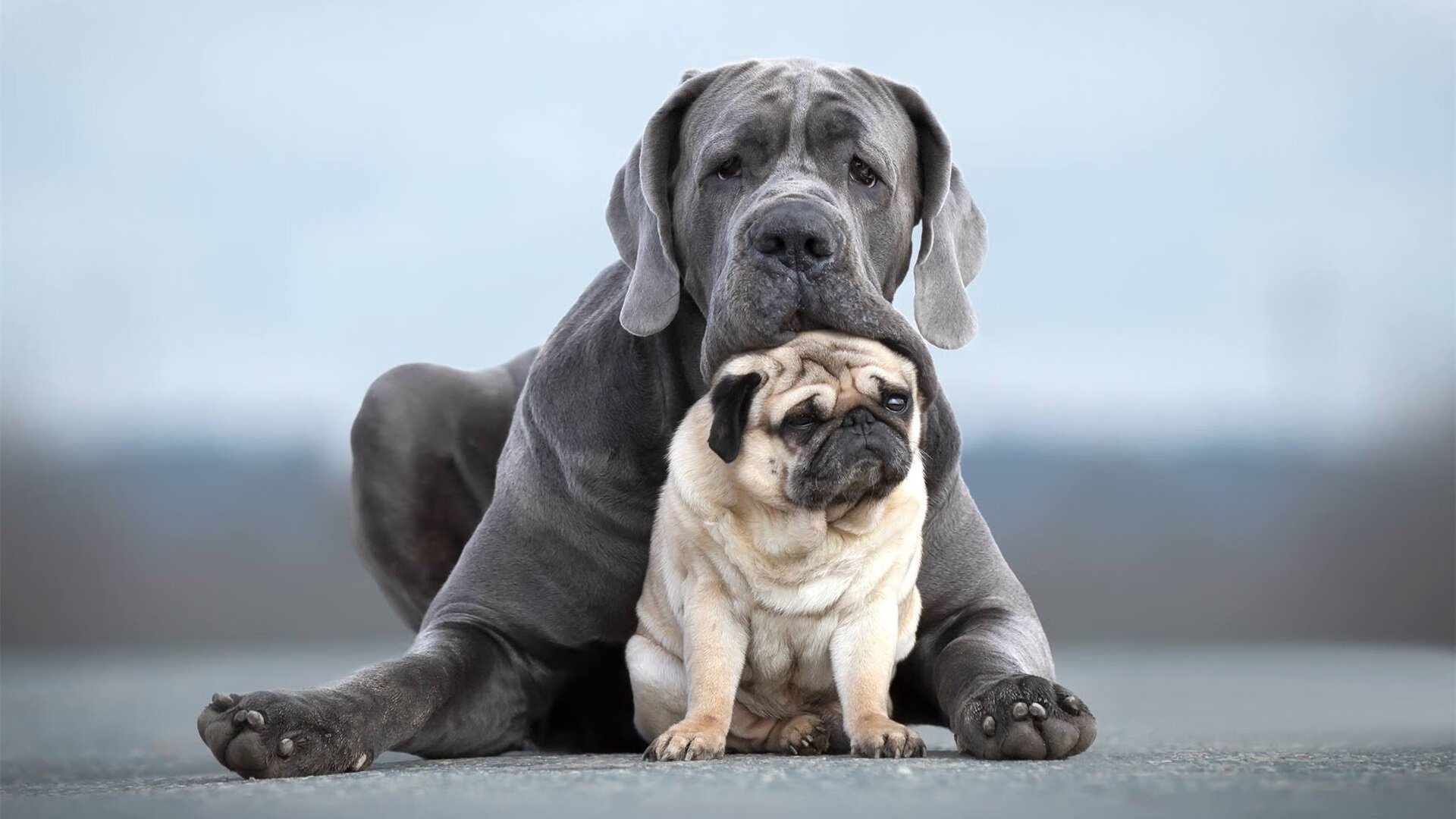 足球主题脱口秀节目上线吸引关注,足球运动员说脱口秀