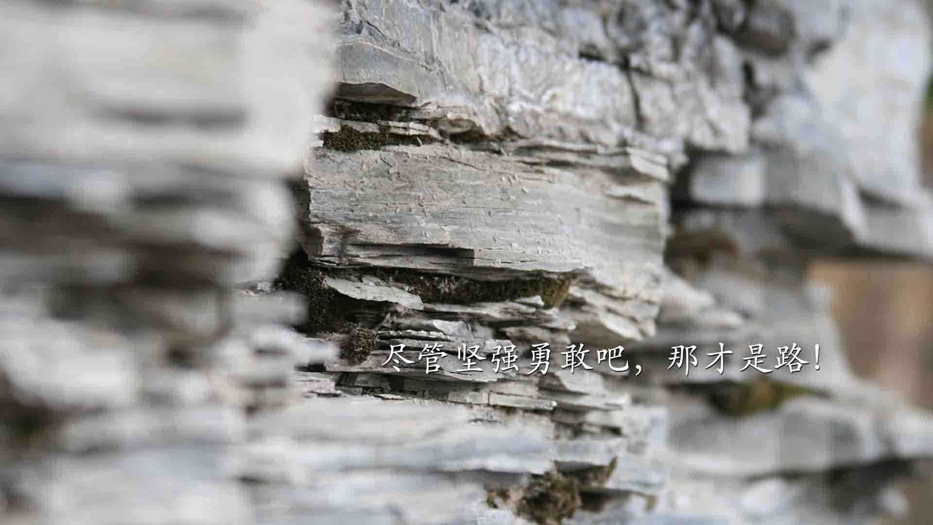 那些影响F1历史的瞬间,f1 历史