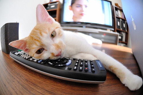 高压比赛：压力下运动员的精彩表现，高压向低压运动