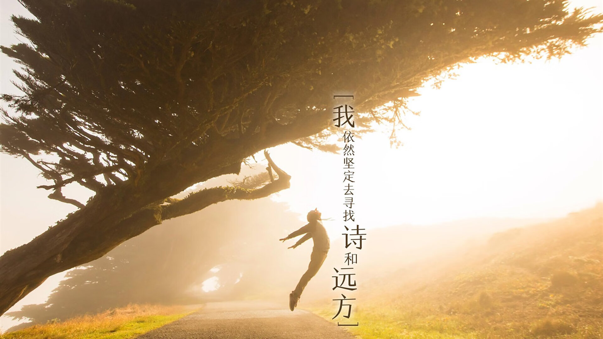 高原冰壶锦标赛,冰上策略对决极具观赏性,2020–2021冰壶锦标赛