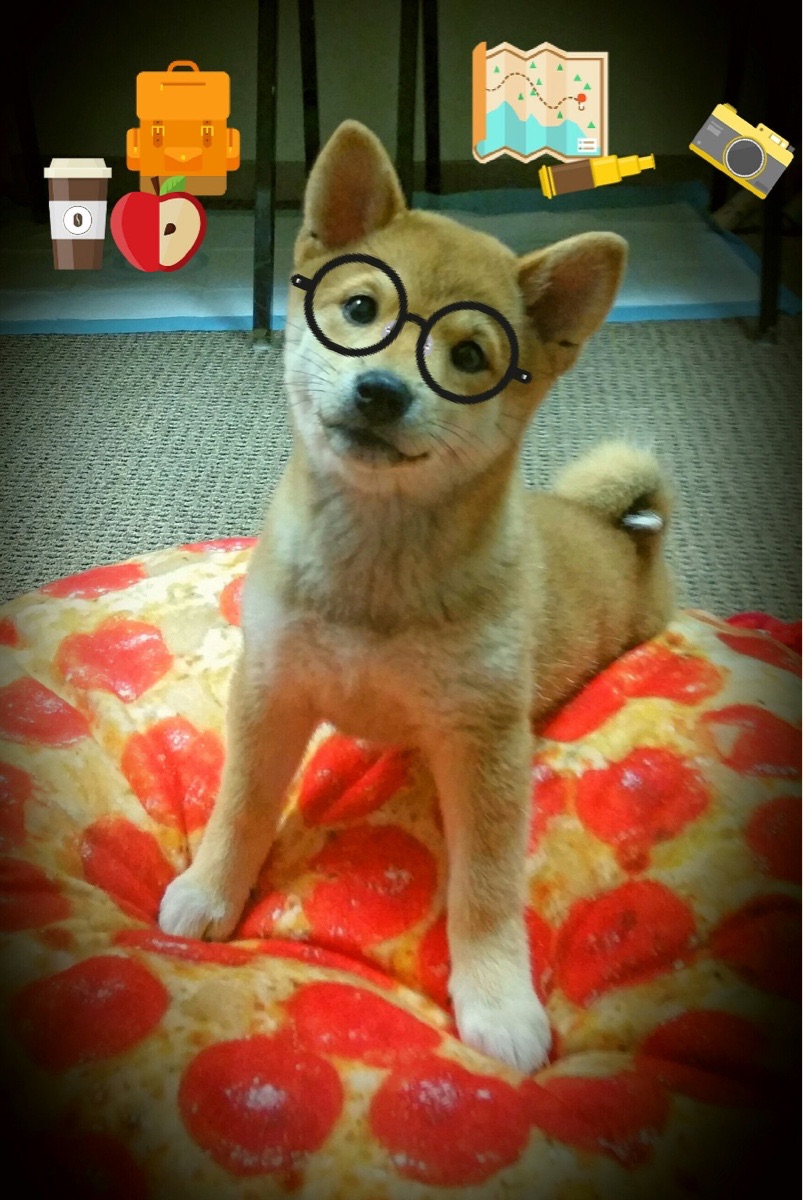 利雅得新月与吉达联合争冠白热化,利雅得新月特谢拉