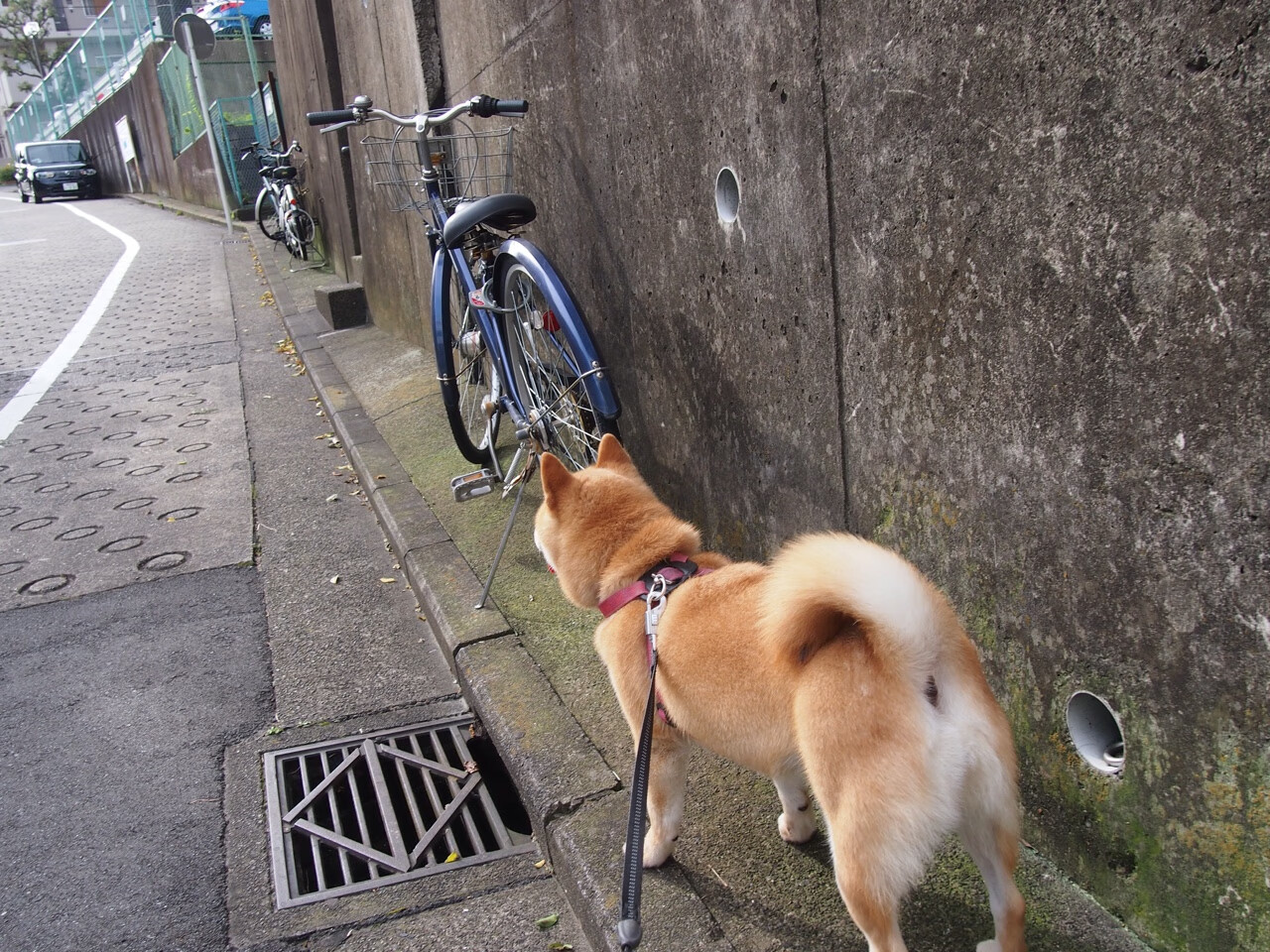 后腰球员是否应成为全能型转化中枢,后腰球员穿什么球鞋