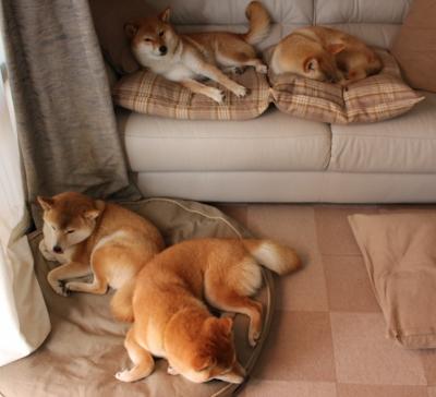 爱游戏在线娱乐官网-墨尔本联球员伤病情况改善，墨尔本联队球员