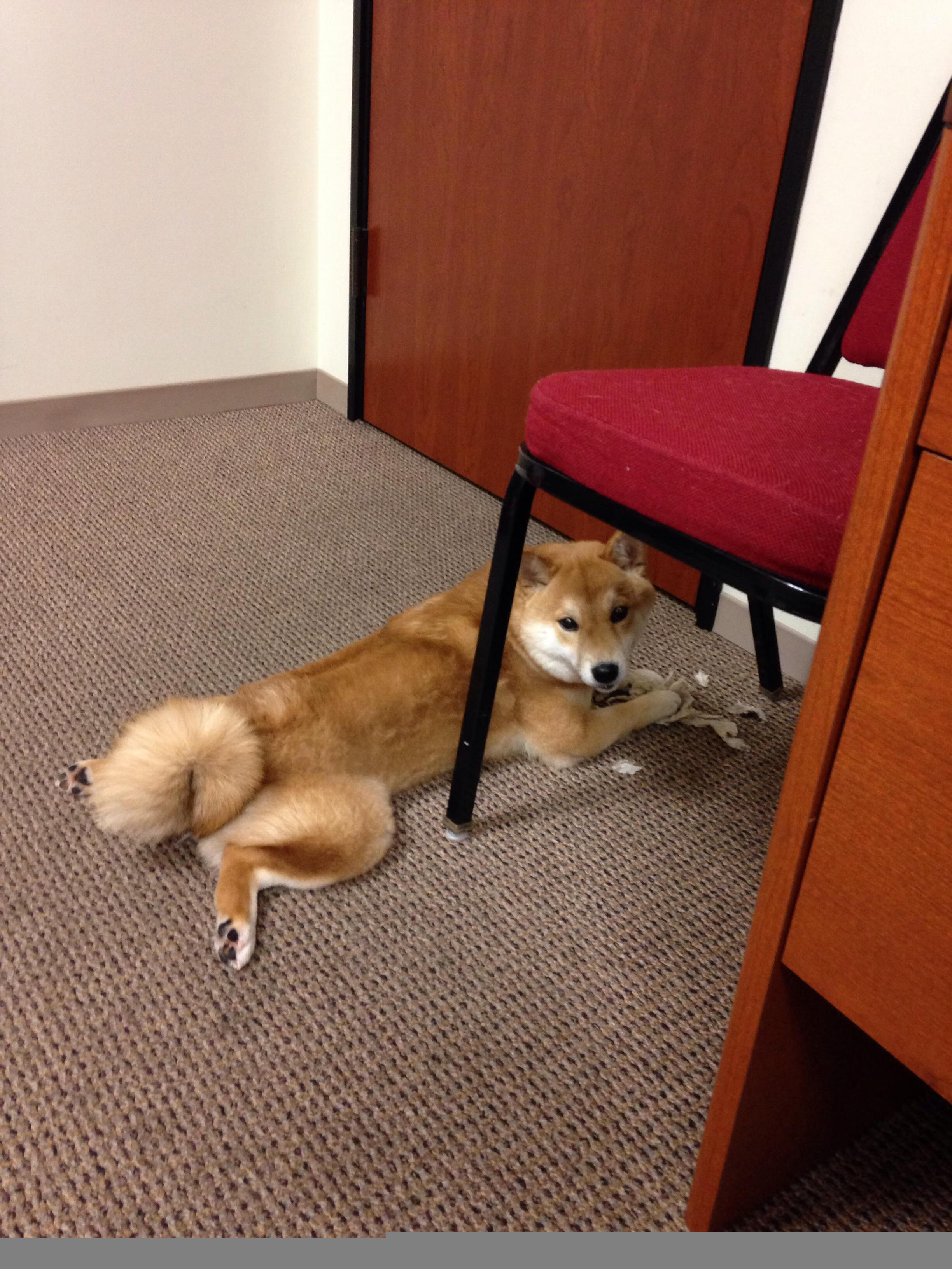 AYX GAMING-密尔沃尔主场平局，保级压力不减，密尔沃基雄鹿最新消息