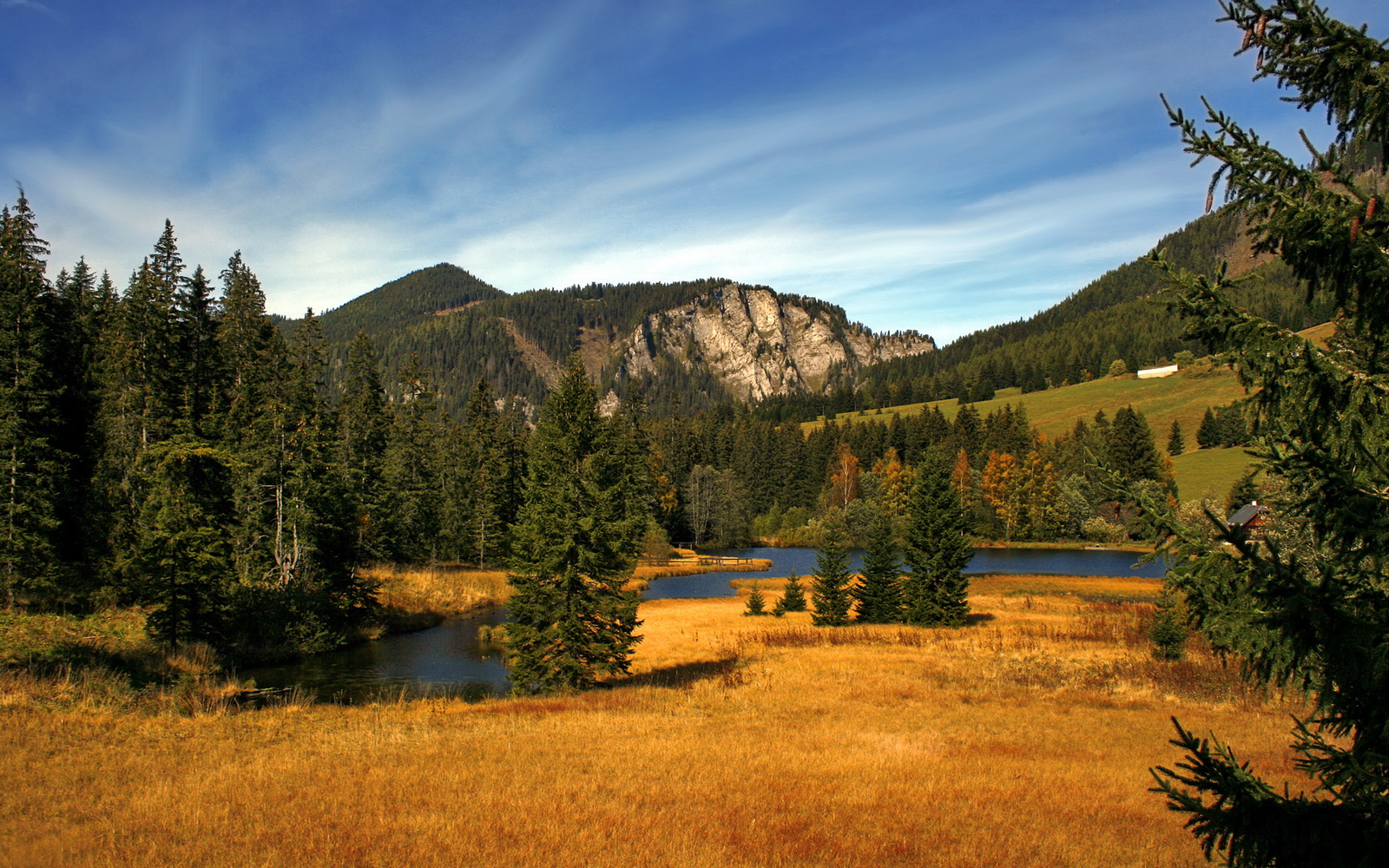 爱游戏在线娱乐官网-布莱克本锋线锋利，蓝白军团渴望翻盘，nba布莱克