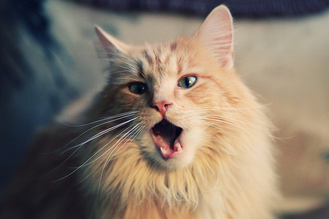 热血激战:篮网与魔术的角逐备受期待,电影热血激战