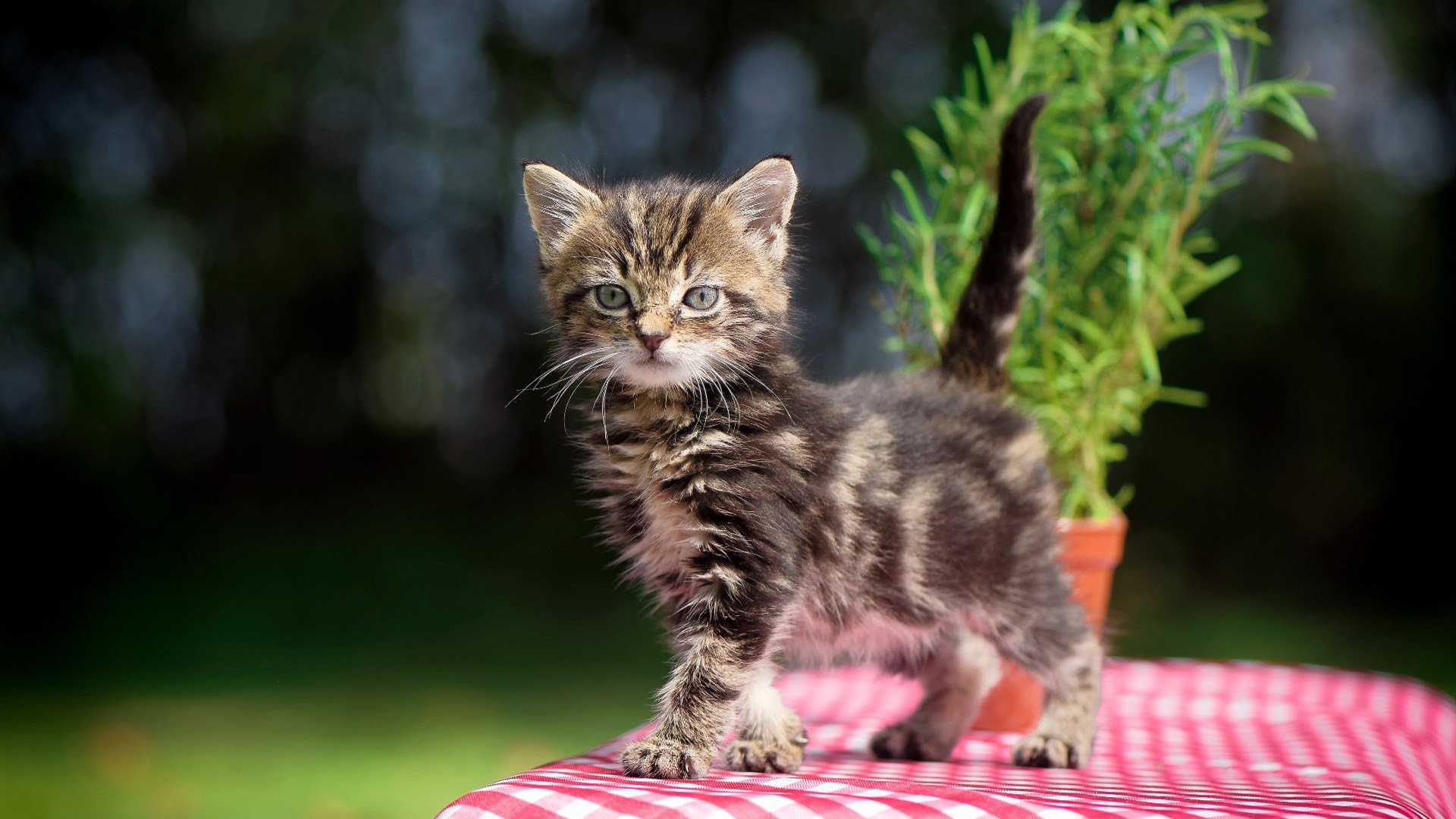 爱游戏在线娱乐官网-精彩对决临近，女足赛程全新调整，女足足球赛