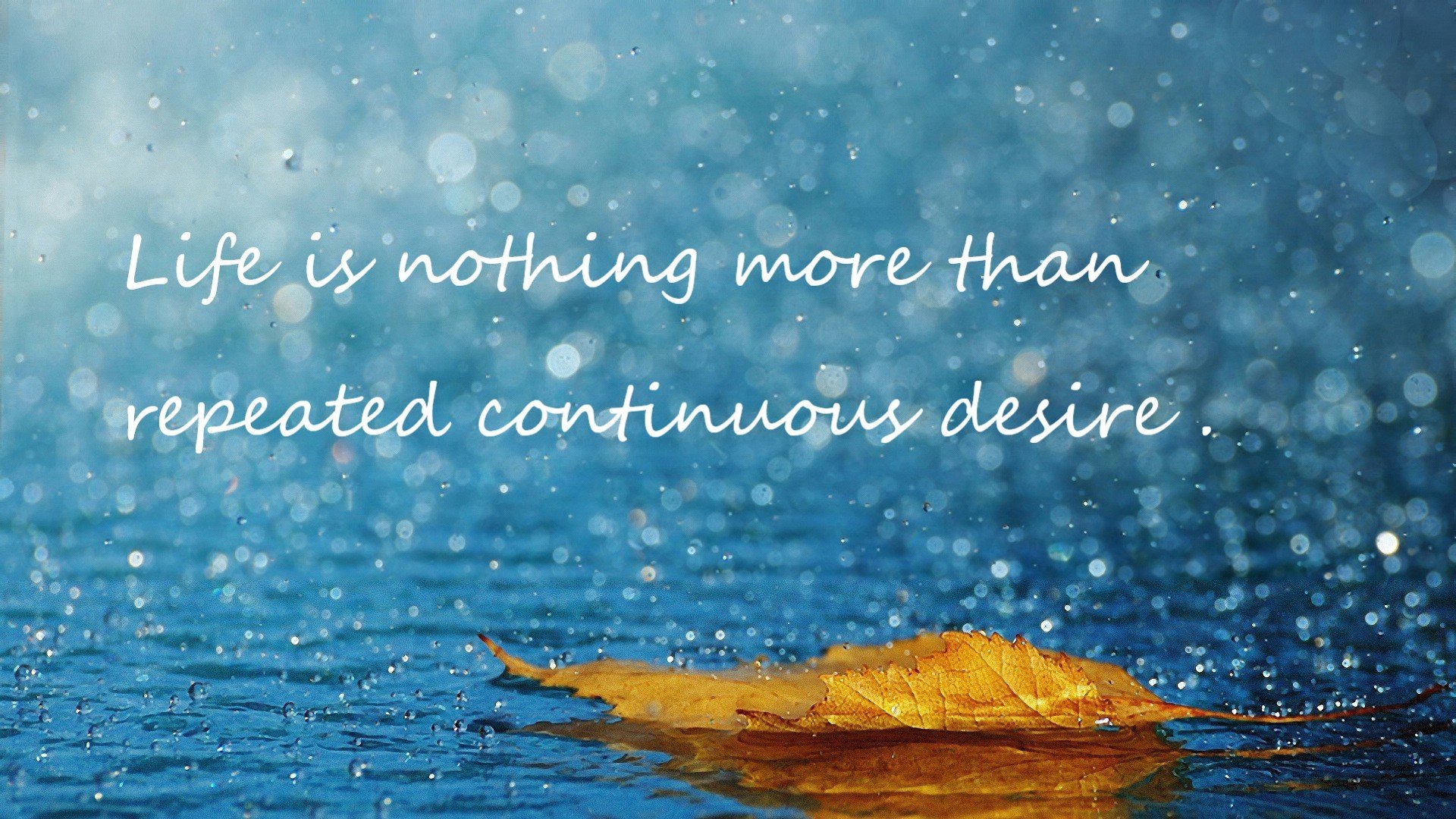 艾菲斯欧冠季后赛止步四强,力争新赛季突破,2020-2021欧洲篮球艾菲斯