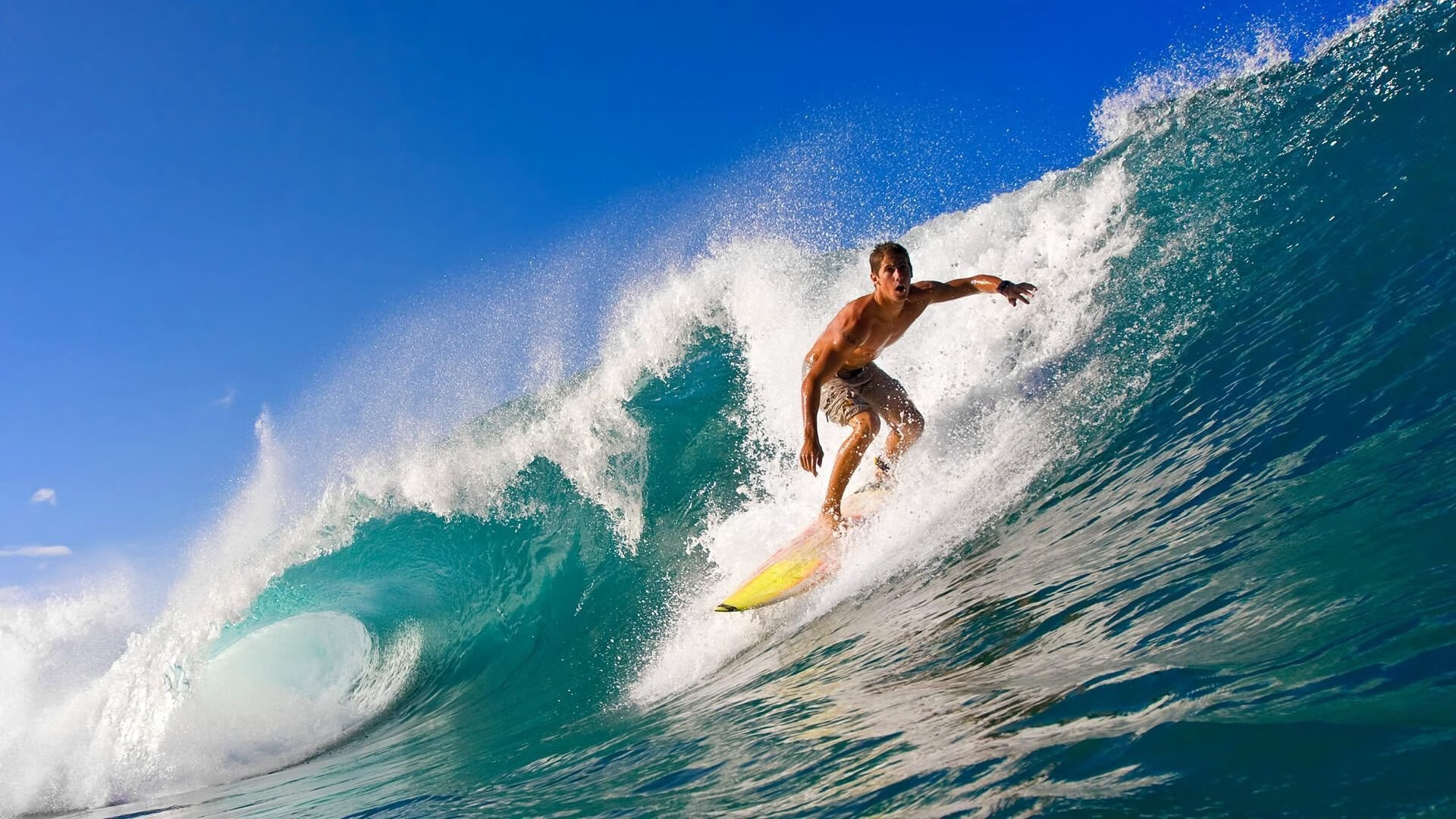 芝加哥熊队在选秀中选中顶级四分卫，芝加哥小熊队知名球员