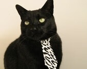 西班牙马术协会与中国马术协会签署合作协议,共同推动马术文化交流。