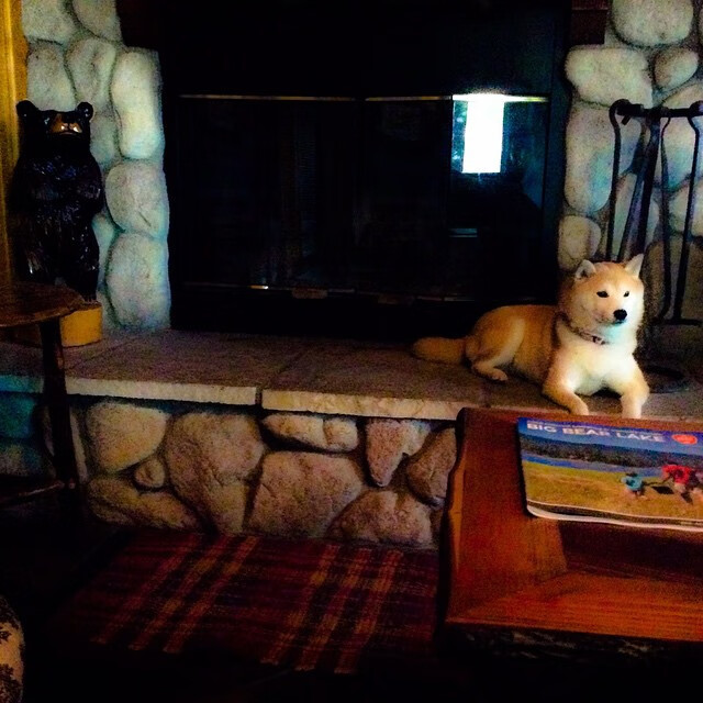 阿斯顿维拉主场击败桑德兰,历史首次获胜,球队士气大涨,阿斯顿维拉阵型