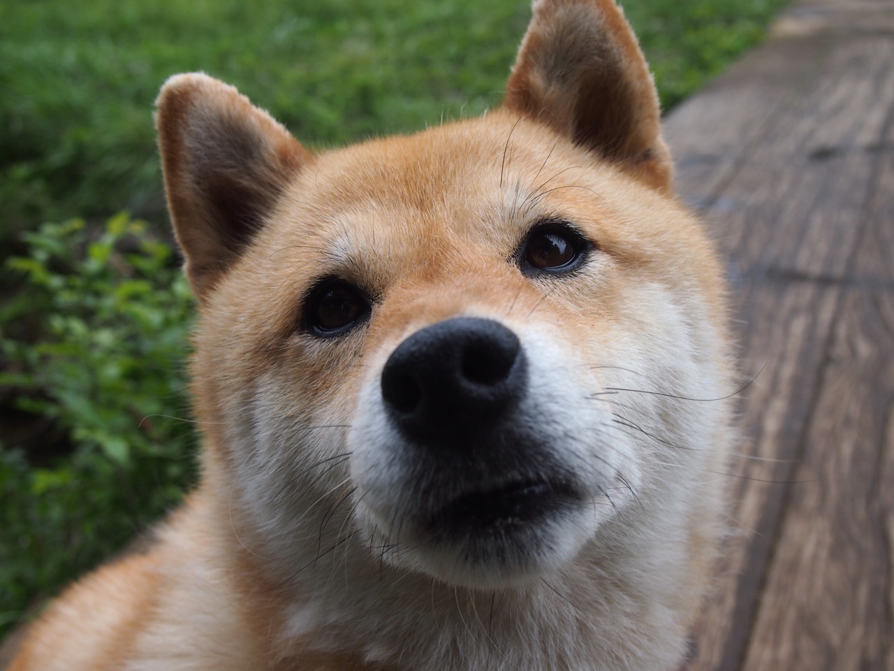 马德里竞技战术研究，为下一场比赛做准备，马德里竞技训练