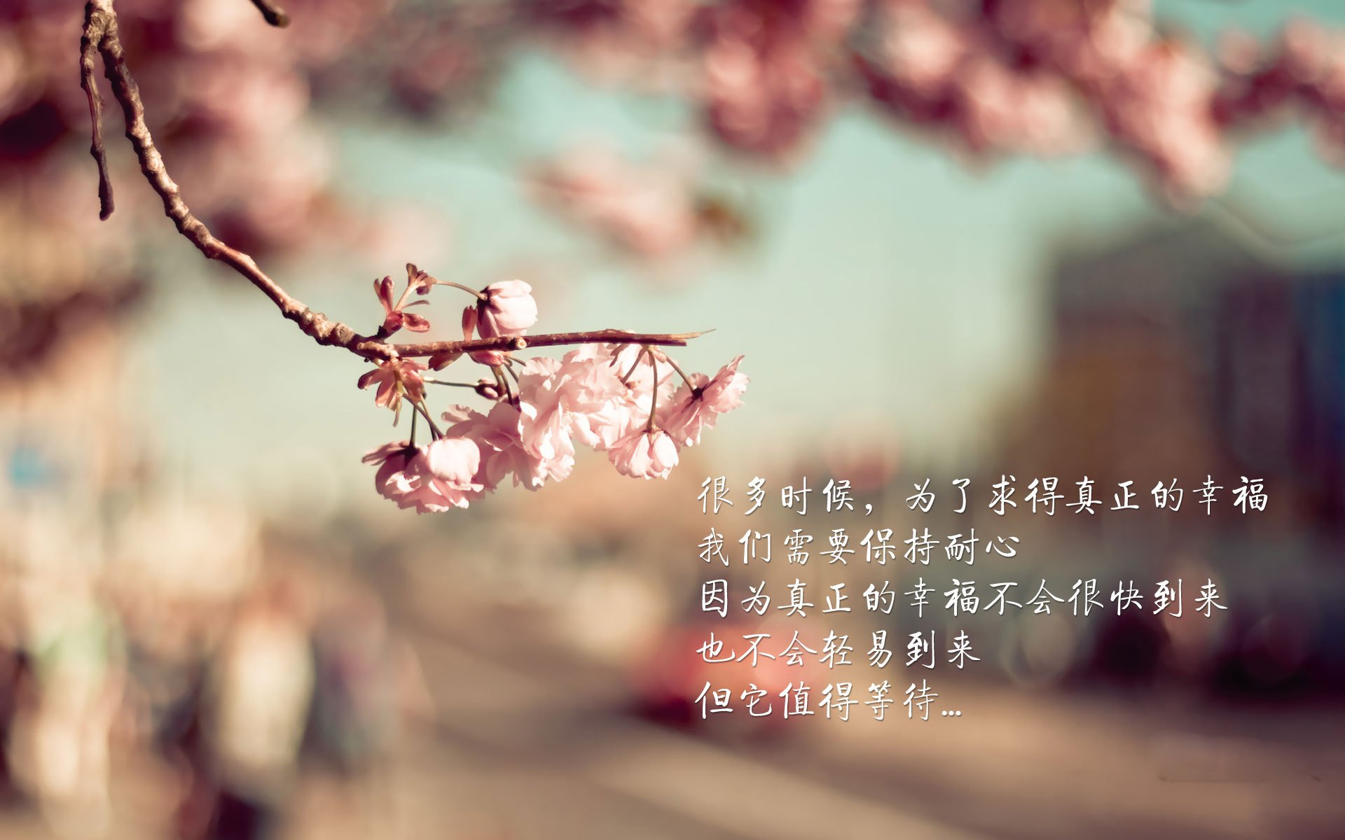 中国足球战术防线压缩数据研究,中国足球队战术