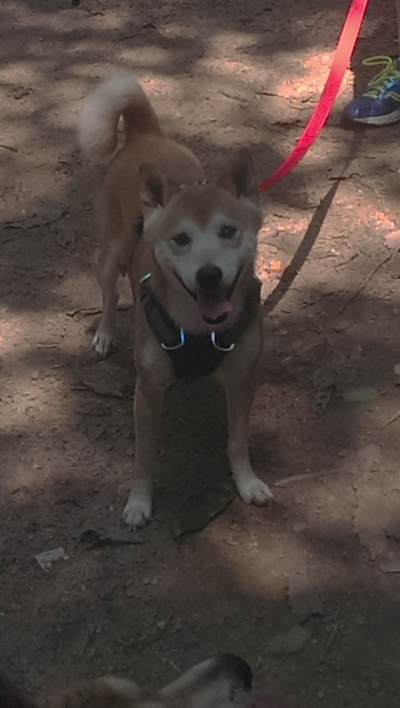 AIYOUXI.COM-中超球队赛前热身强度标准对比，曝中超热身赛起冲突