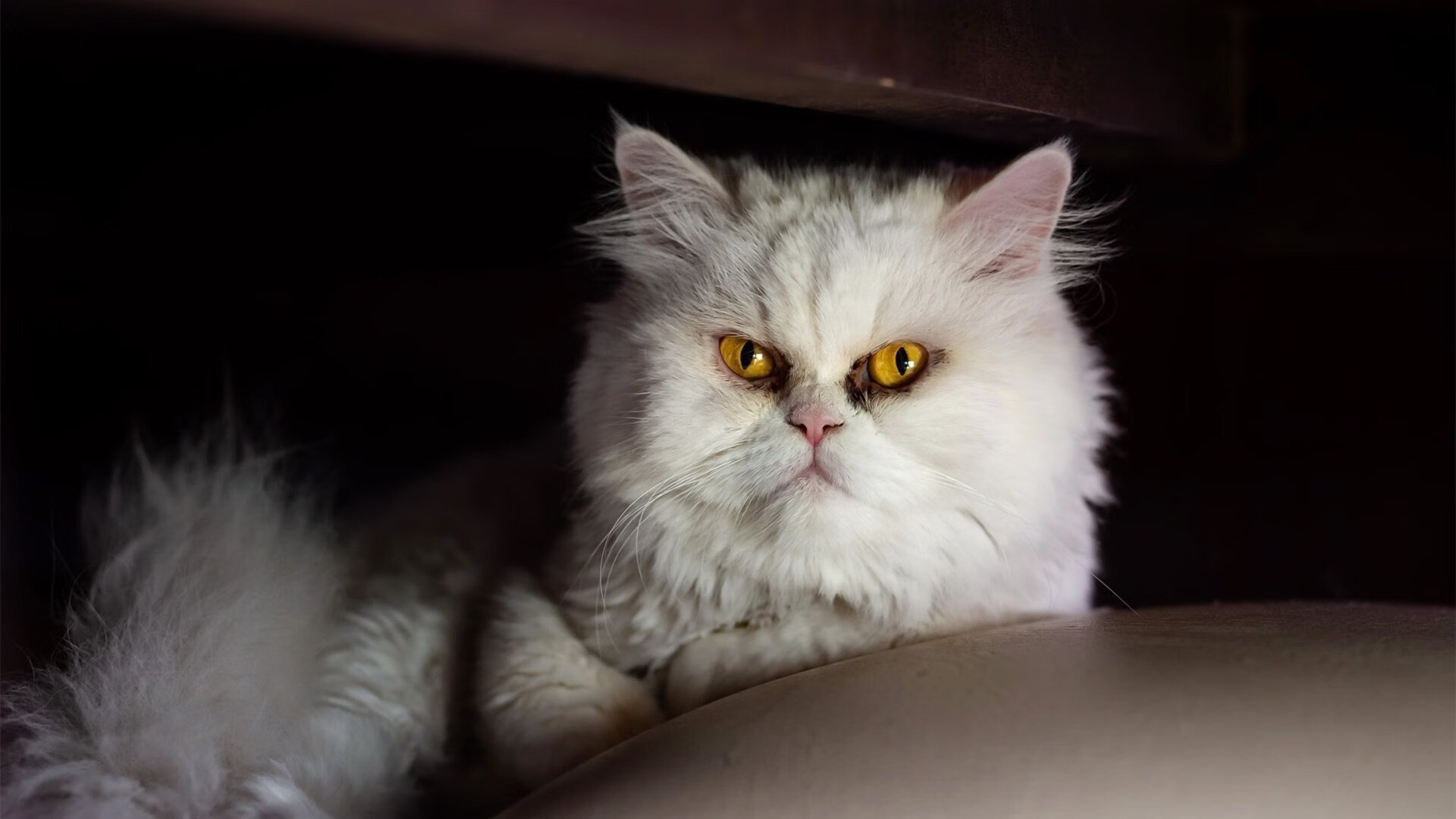 全国青少年足球邀请赛激情燃爆,2021年全国青少年足球邀请赛