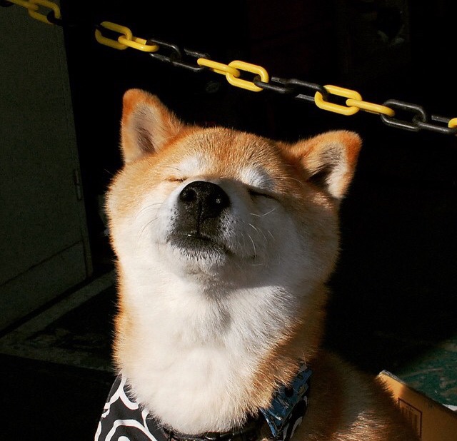 “破纪录之战!武汉马拉松迎接全新挑战”