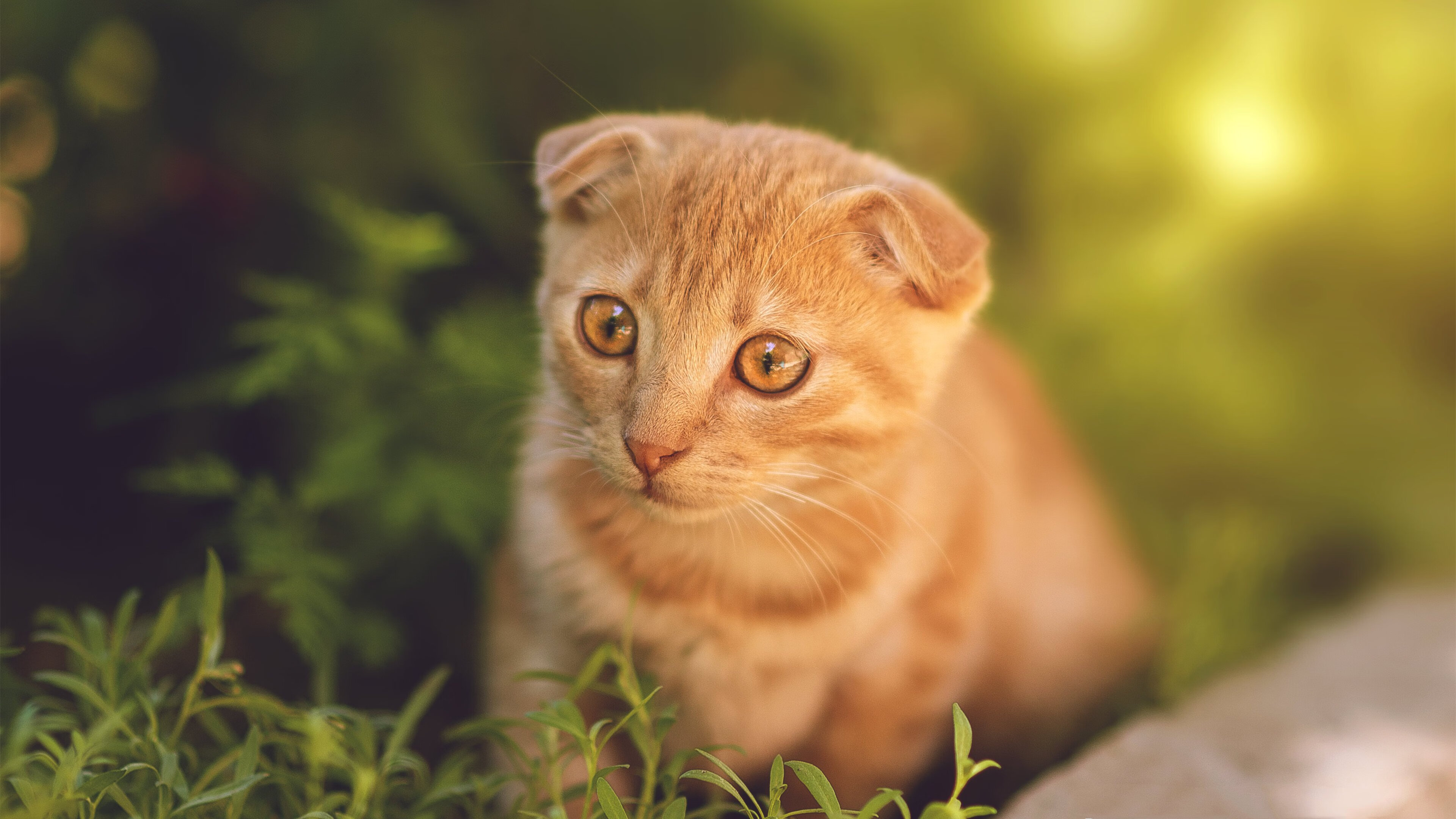 爱游戏 电竞-中国三人篮球男队提高篮下终结能力，中国三人篮球男队战绩