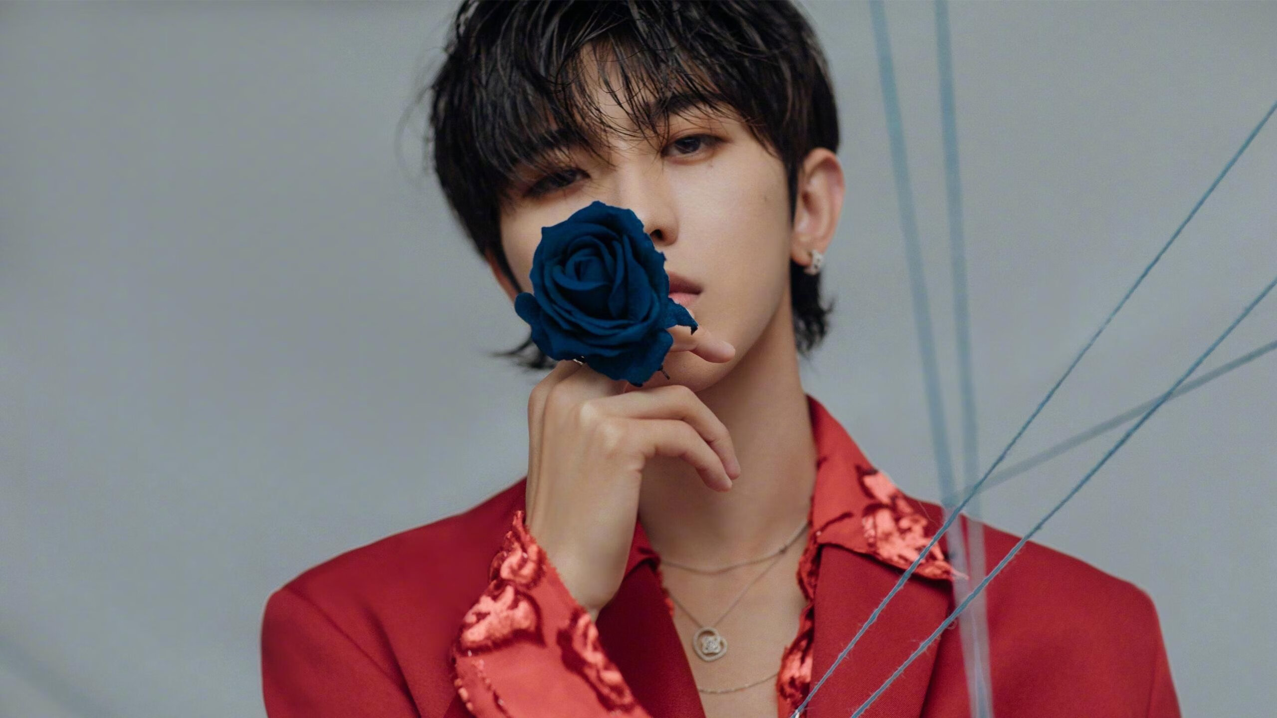 全国武术散打大奖赛展开激烈比拼,2021全国武术散打冠军赛