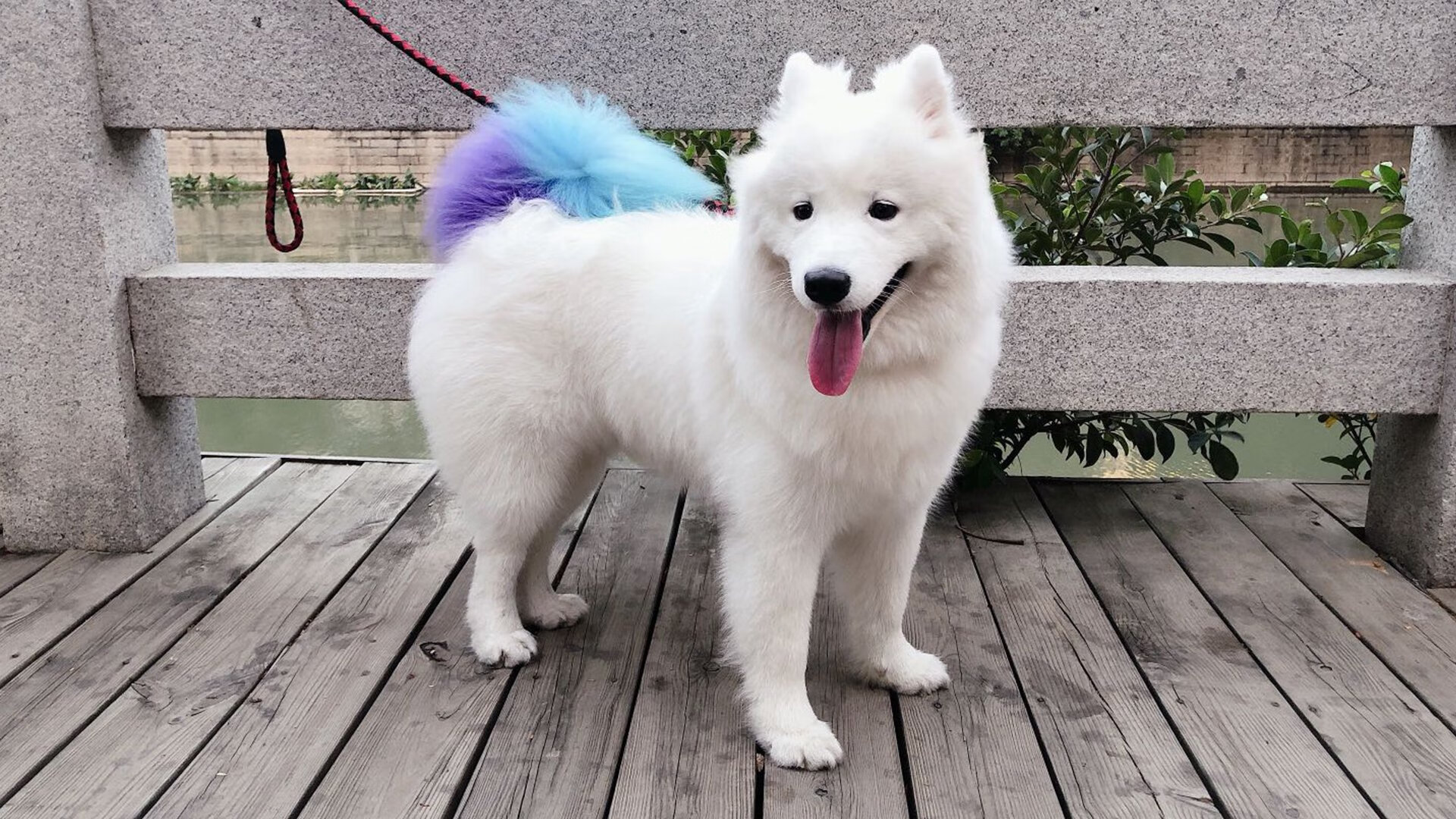 地方体育馆免费开放推动群众篮球健身活动常态化，体育馆篮球怎么收费