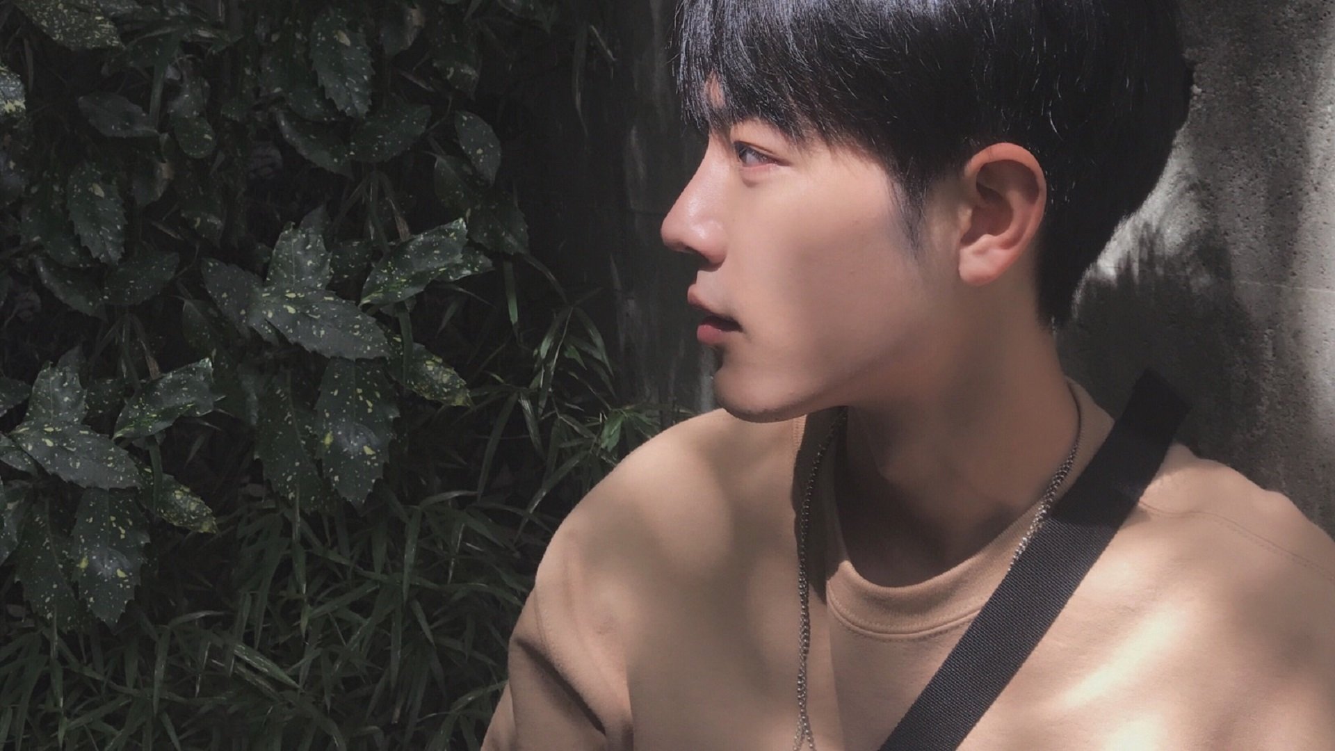 罗斯·范奥特尔戴克蝶泳冲刺抢眼