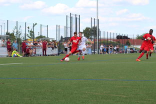 AIYOUXI.COM-荷兰队在国际赛场持续强势，晋级形势良好